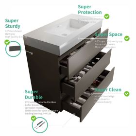 Alice 24" Gray Bathroom Vanity with Sink, Large Storage Freestanding Bathroom Vanity for Modern Bathroom