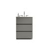 TIA 24" Gray Bathroom Vanity with Sink with 3 Faucet Holes, Large Storage Freestanding Bathroom Vanity for Modern Bathroom