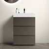 Alice 24" Gray Bathroom Vanity with Sink, Large Storage Freestanding Bathroom Vanity for Modern Bathroom