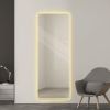 64"x21" Full Length Floor Mirror LED Whole Body Mirror, Wall Mounted Mirror with Lights, Bedroom Full Size Body Mirror with Dimming & 3 Color Modes
