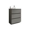 TIA 24" Gray Bathroom Vanity with Sink with 3 Faucet Holes, Large Storage Freestanding Bathroom Vanity for Modern Bathroom